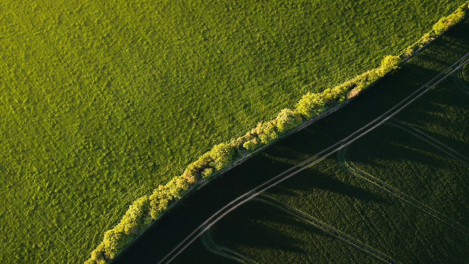 An aerial view of a road running between bright green fields and a line of trees (photo: Ivan Bandura / Unsplash)