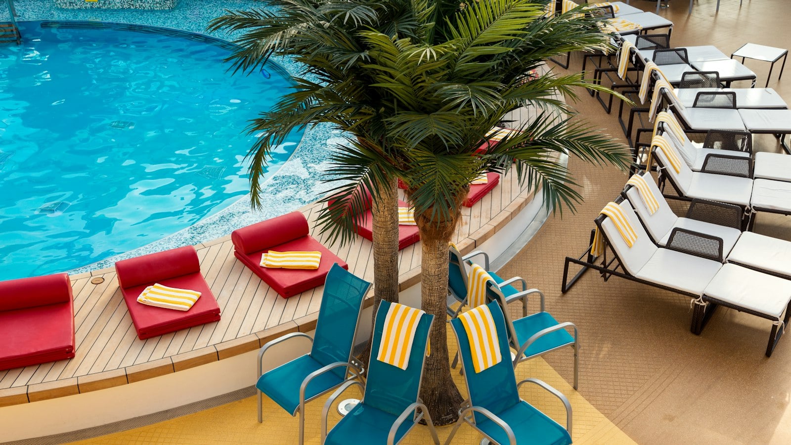 Sun loungers and a palm tree beside a pool on a cruise ship deck (photo: TravelPriceWatch / Unsplash)