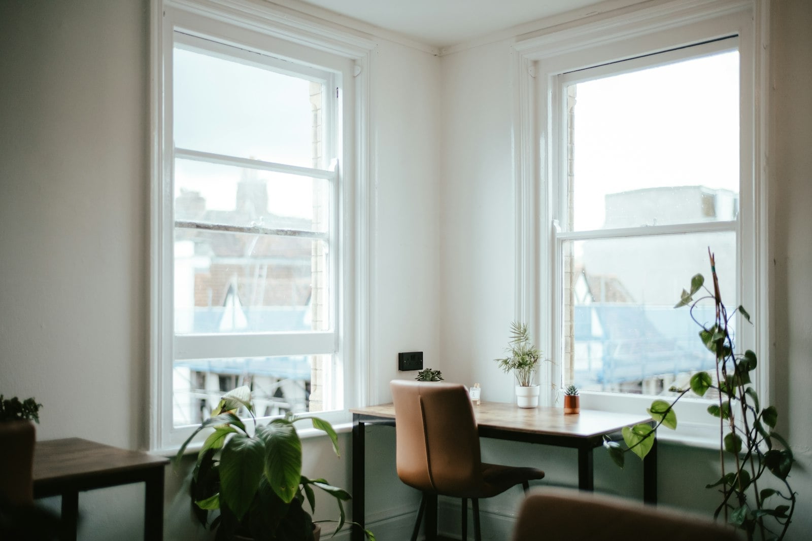 Quiet private office with tall windows and plants (photo: Annie Spratt / Unsplash)